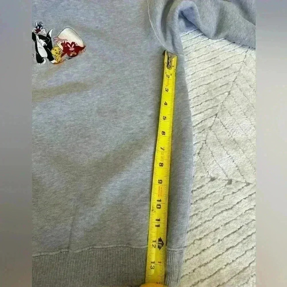 Warner brothers embroidered Luney tunes  sweatshirt M - Picture 1 of 6